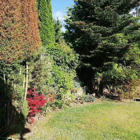 Holiday home Mayorka Dom Letni *